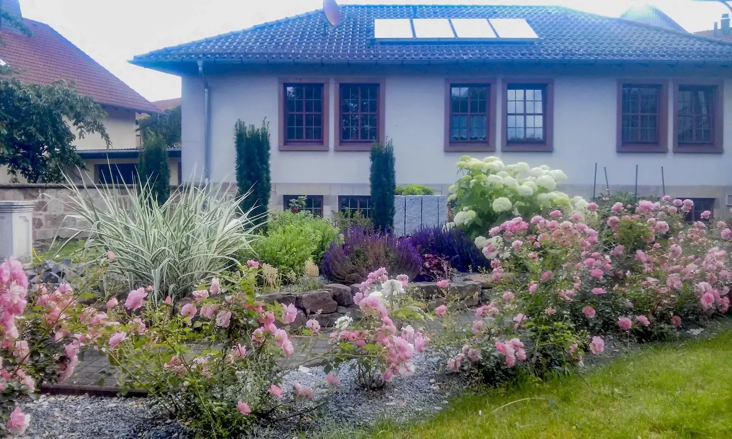 Blühender Rosengarten vor einem Haus, angelegt und gepflegt von Brang Gartenbau