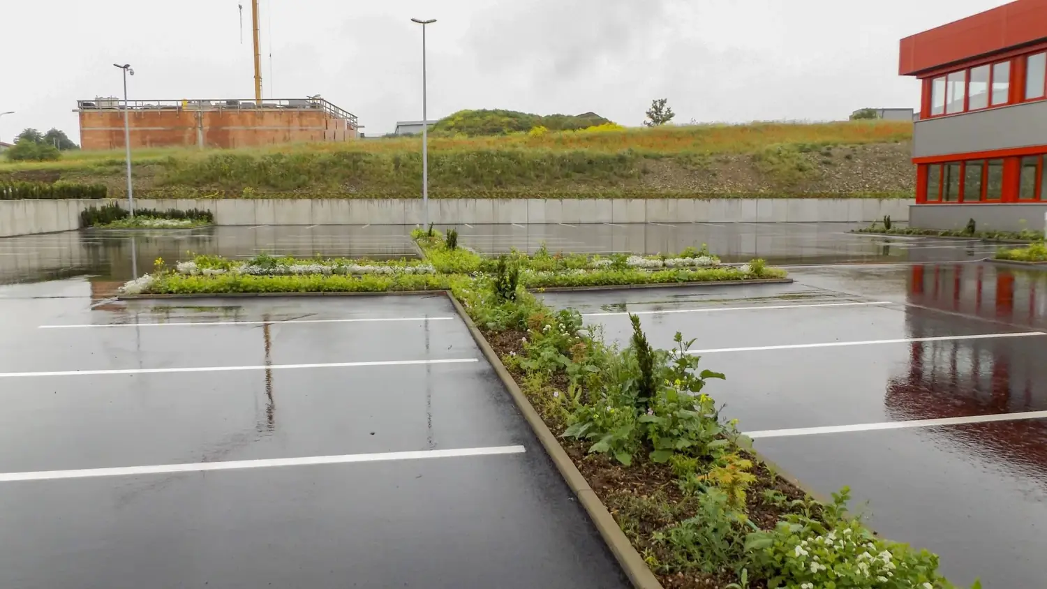 Firmenparkplatz der Firma Isel in Eiterfeld mit langen Blumenbeeten