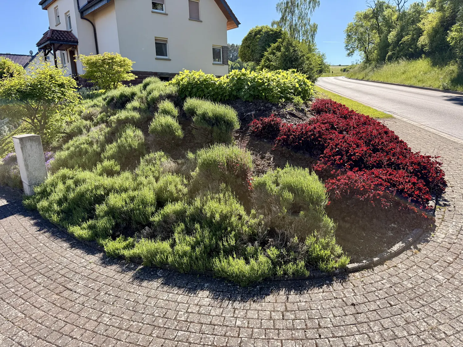 Hangbeet mit Lavendel und roter Berberitze vor einem Wohnhaus