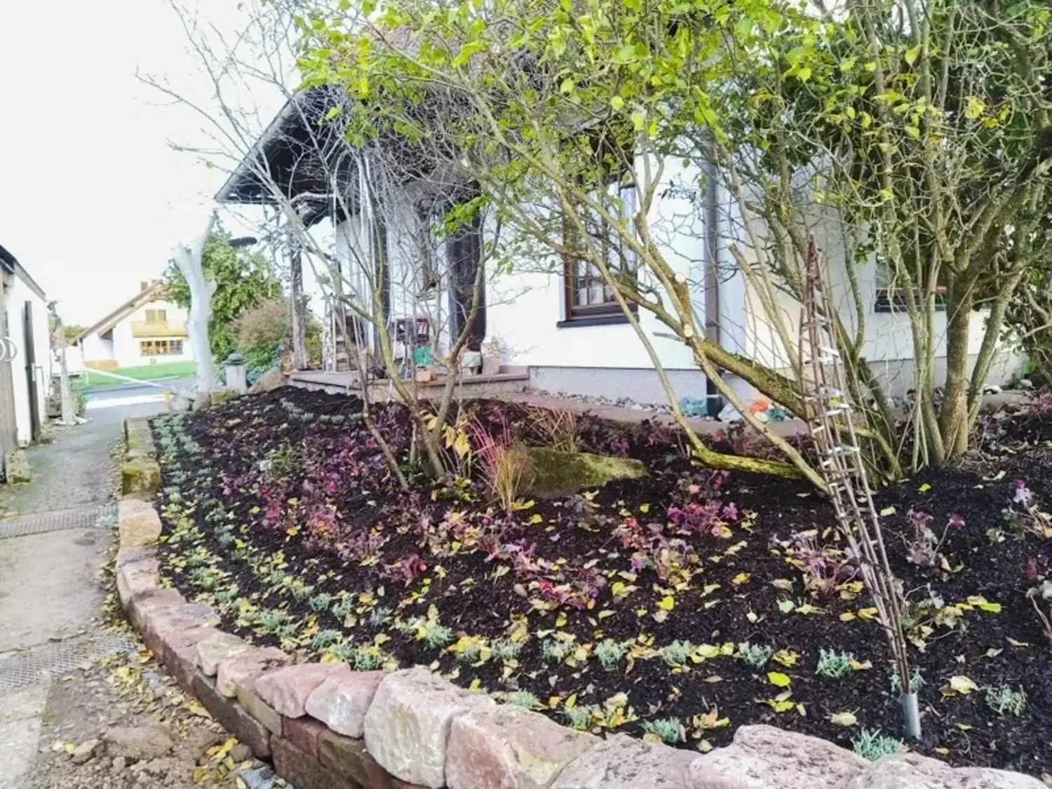 Neu angelegtes Blumenbeet mit jungen Pflanzen und Mulch
