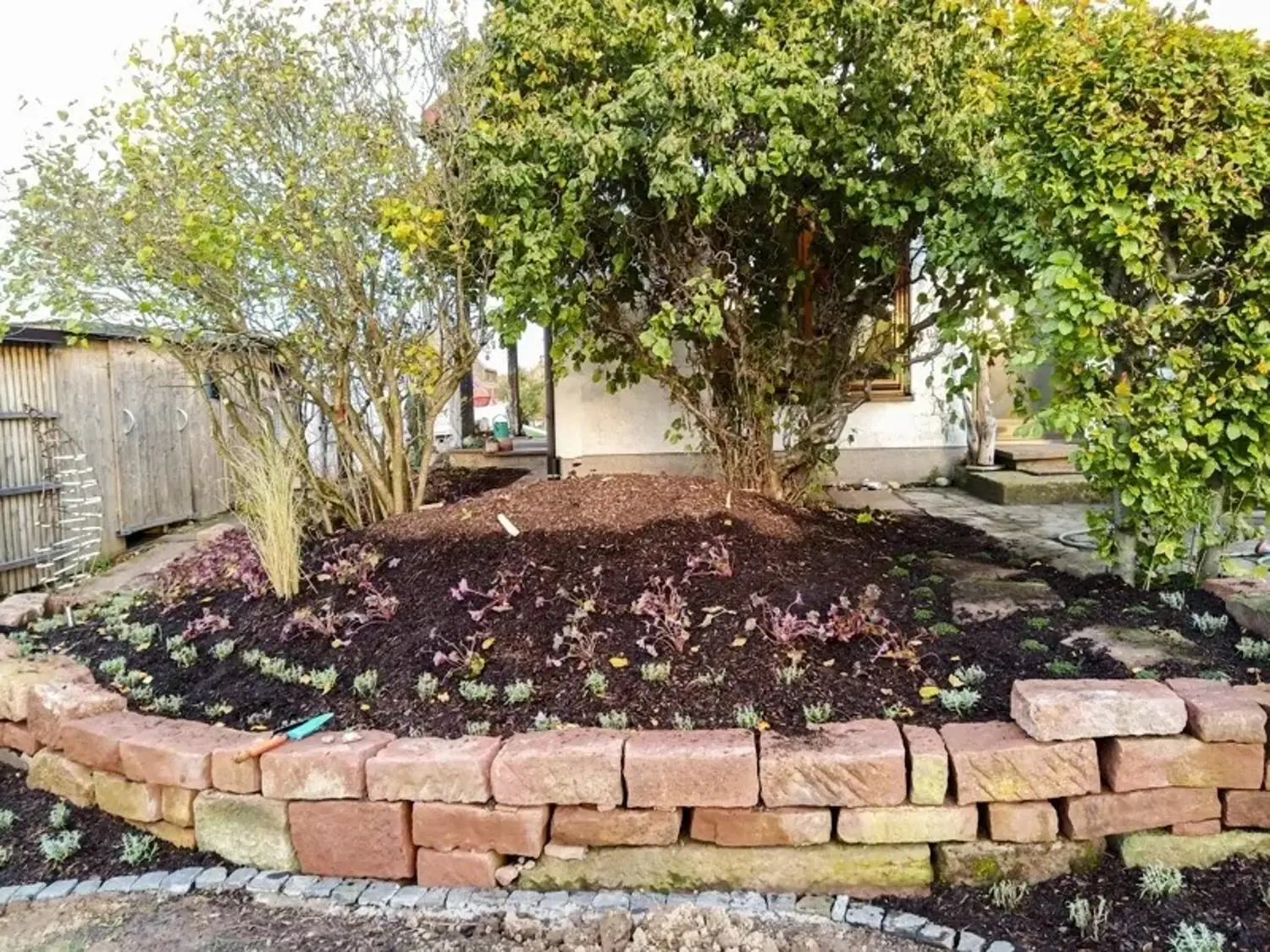 Neues Blumenbeet mit roter Steinmauer und jungen Sträuchern