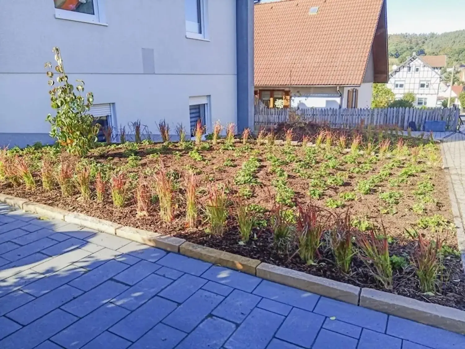 Neues Gartenbeet mit jungen Pflanzen und Rindenmulch